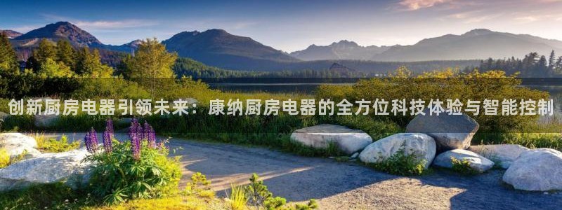 摩登7官方联系方式