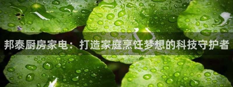 摩登7平台把7O777