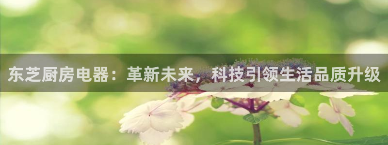 摩登7地7O667