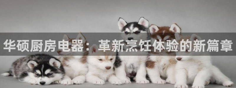 摩登7关