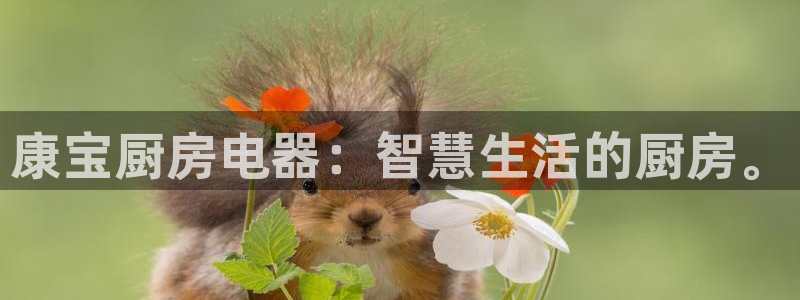 国际版摩登世界7