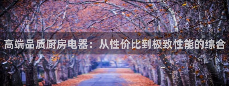 摩登7直属