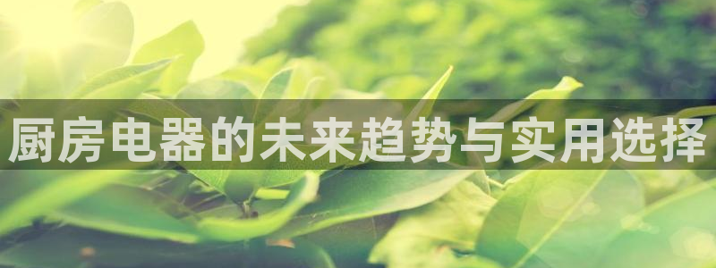 摩登6吴这7O667