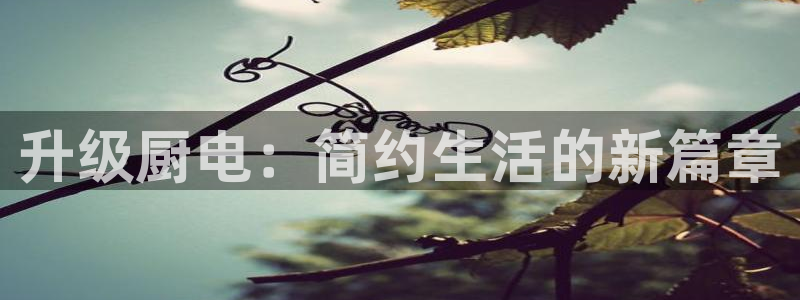 摩登4天7O667