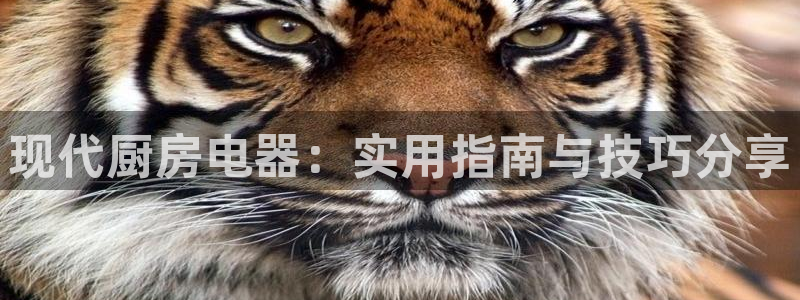 摩登7属于什么平台