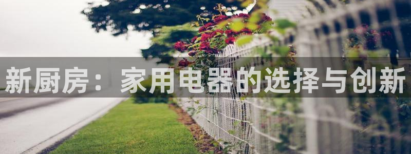 摩登7娱乐平台4