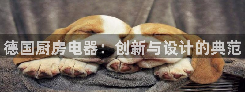 摩登7平台登陆
