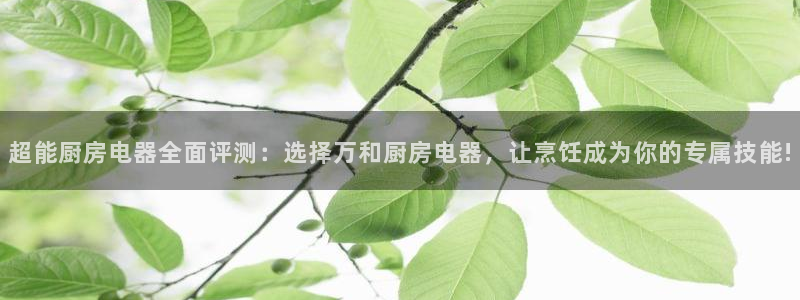 摩登7排名
