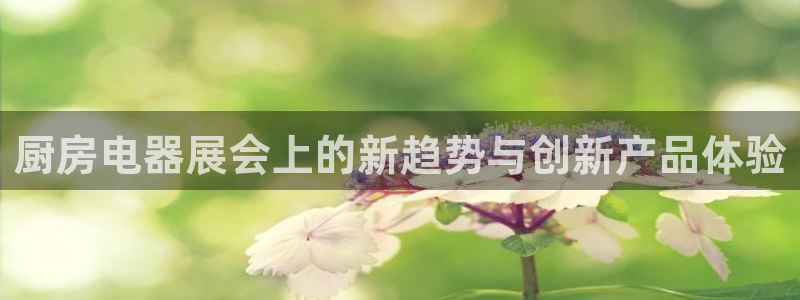 摩登招商7约22650