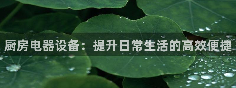 摩登7公司排名
