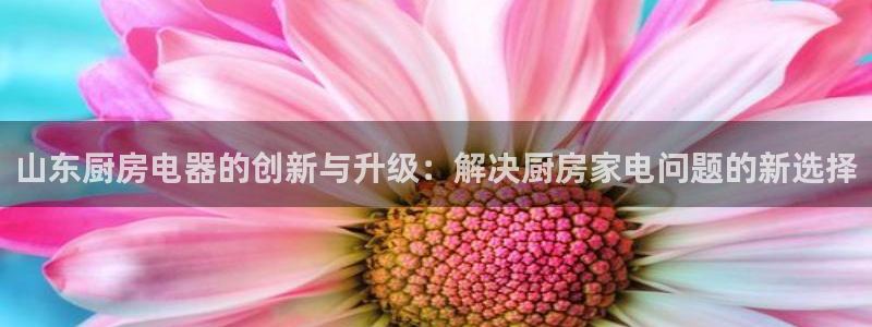 摩登4右7O667