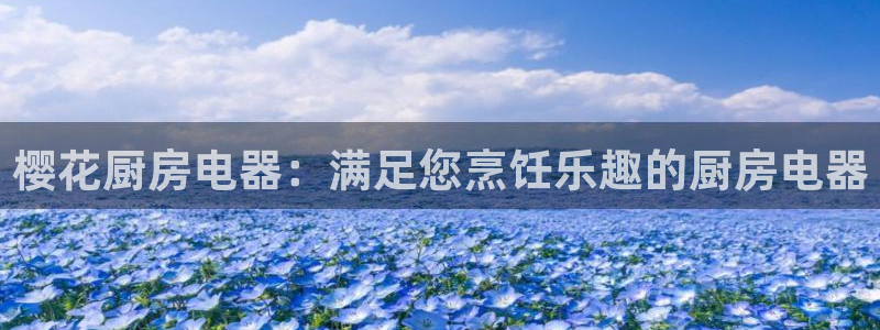 摩登7怎么联系客服