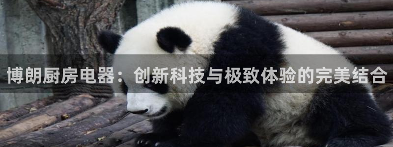 摩登6吕7O667