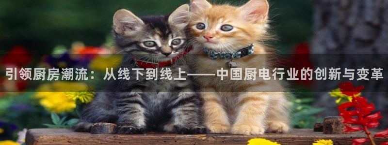 摩登5张7O667