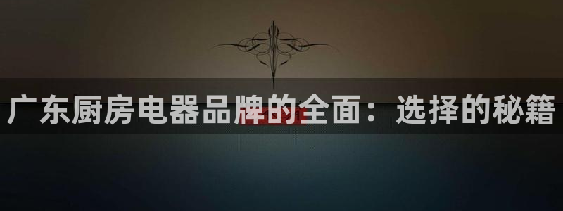 摩登5天7O667