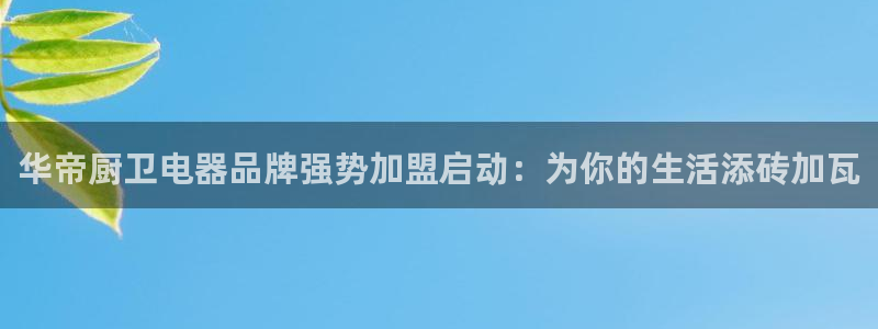摩登7官方