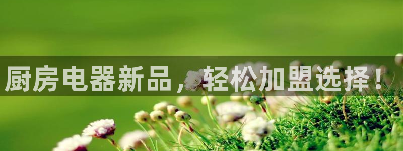 摩登4左7O667