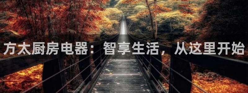摩登3右7O667