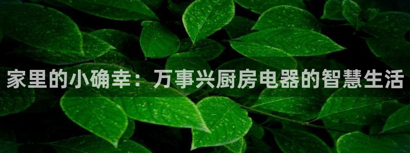 猎杰集团摩登7