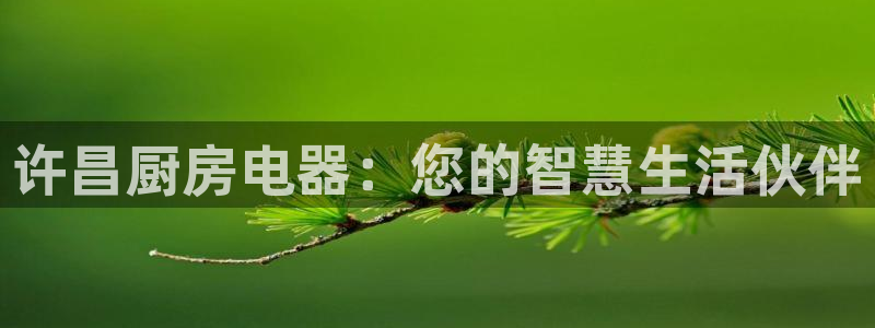 摩登招商臼金手指专业7