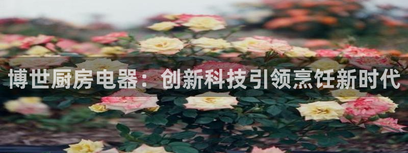 7牌摩登