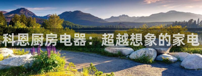 摩登7平台代理