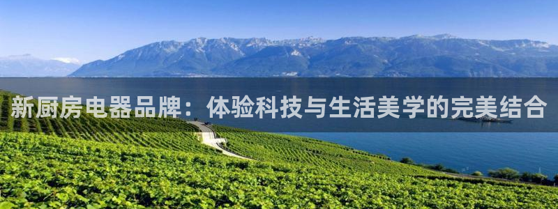 摩登7软件是什么原因