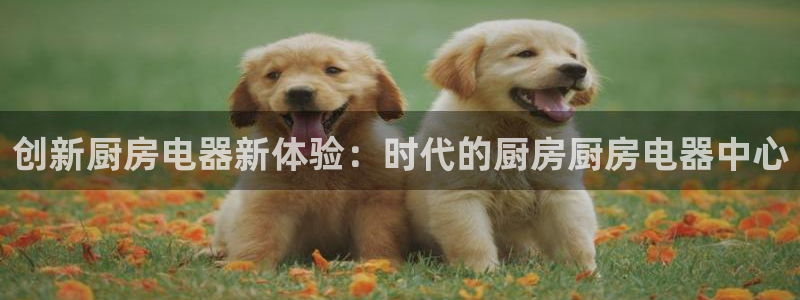 摩登7游戏