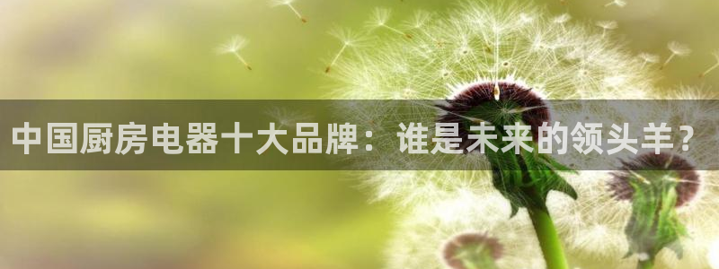 摩登4下7O667