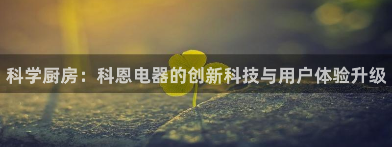 摩登6月7O667