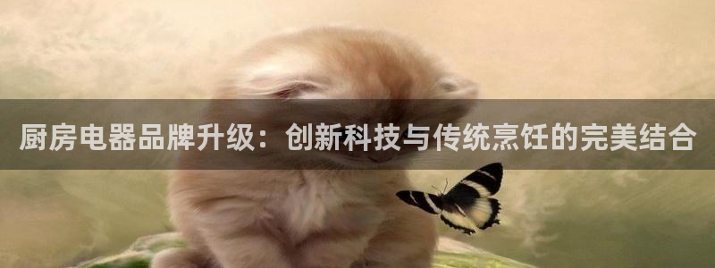 摩登7左3299O7