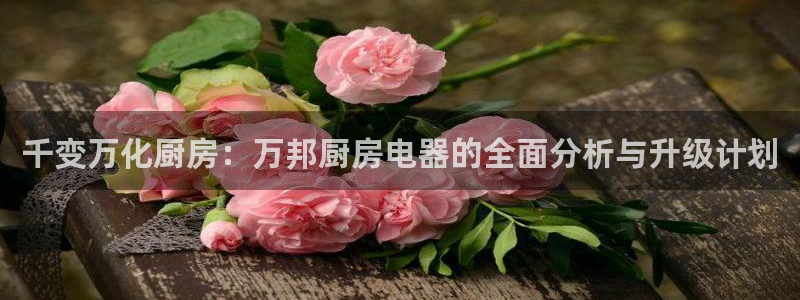 摩登精品7口碑极限