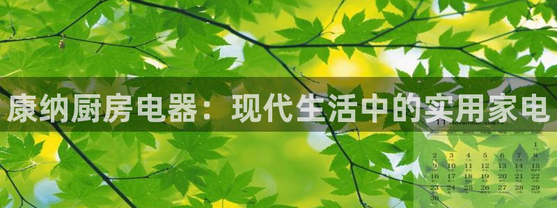 摩登7代理382223
