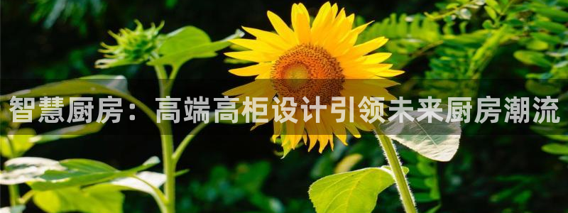 摩登7招商议333OO