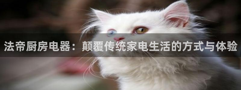 摩登7官网在哪下载