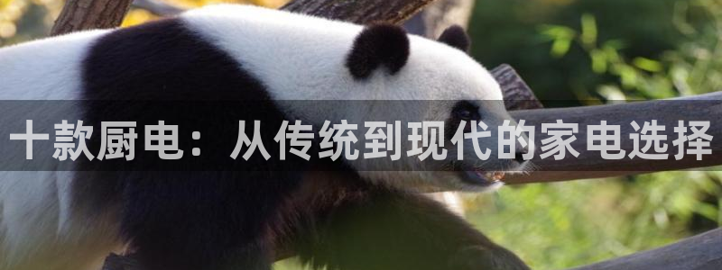 摩登4前7O667