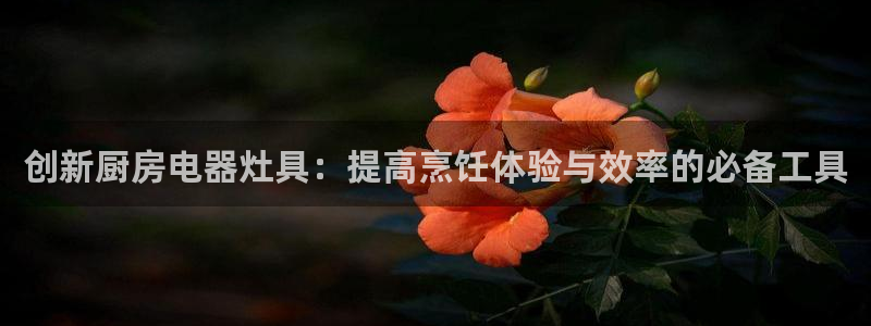 摩登7平台周7O777