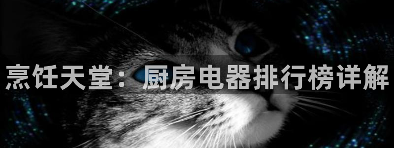 摩登6韩这7O667