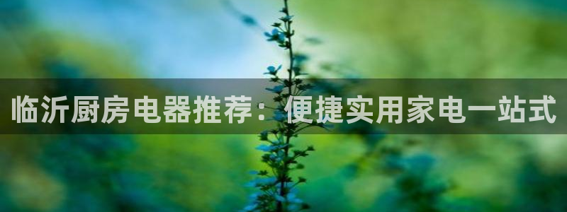 摩登7口碑