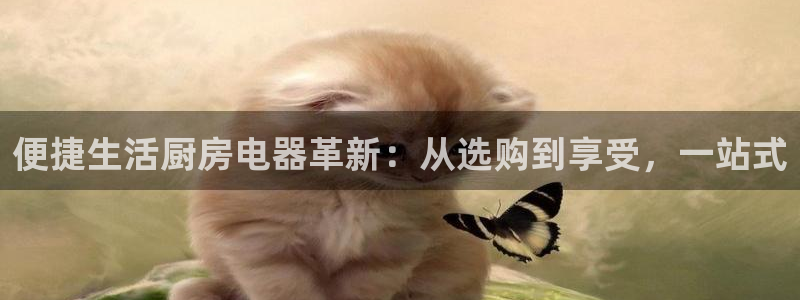 摩登7直属招商