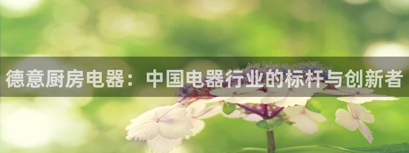 摩登招商7快22650