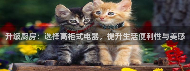 摩登5周7O667