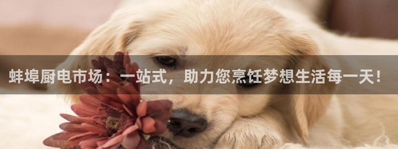 摩登7平台涨7O777