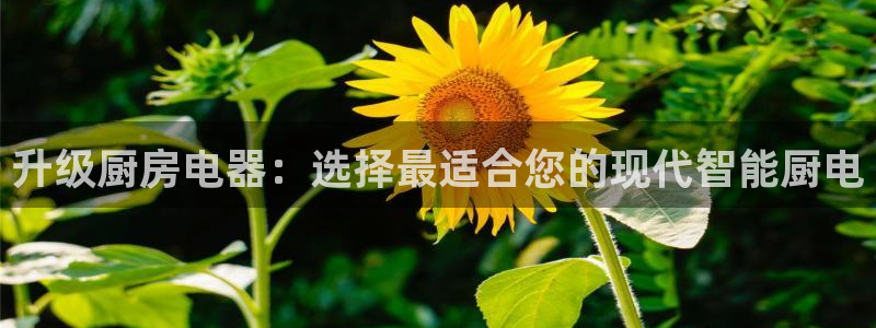 摩登5施7O667